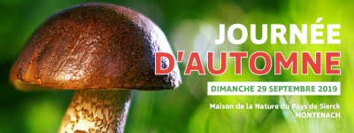 journee-automne.png