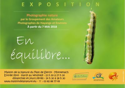 Affiche-Expo-en-équilibre-1024x724.jpg