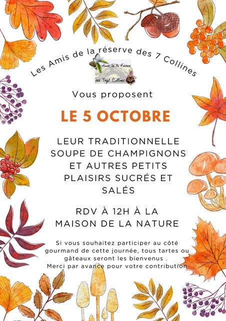 Affiche 7 collines